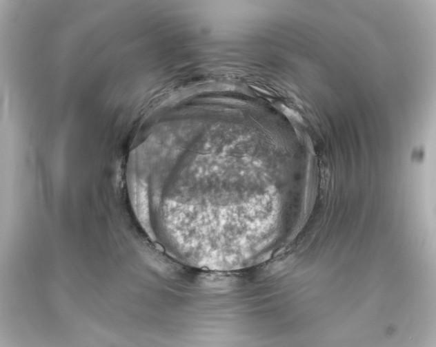 X0000093560331200711051042