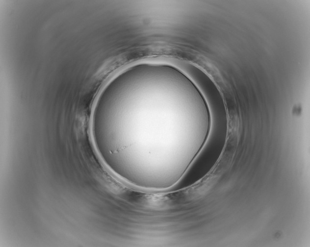 X0000093560333200711051042