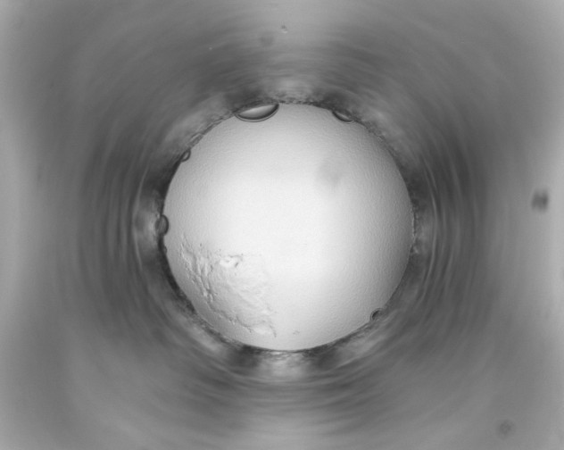 X0000093560334200711051042