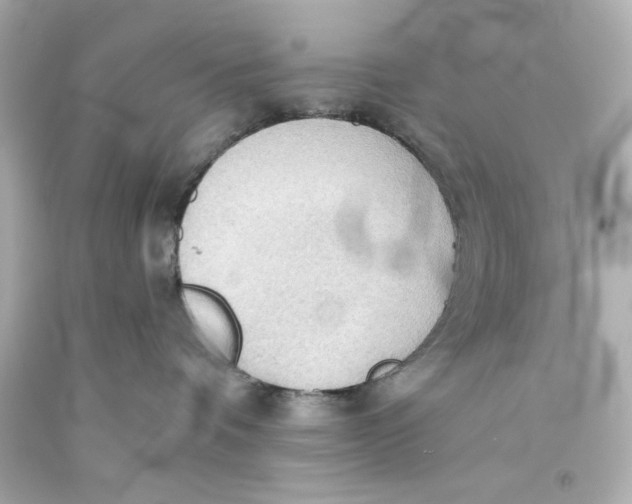 X0000093560336200711051042