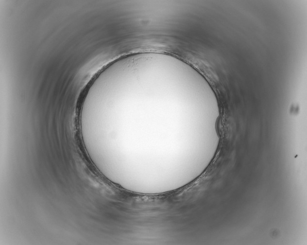 X0000093560338200711051041