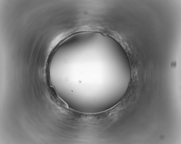 X0000093560340200711051042