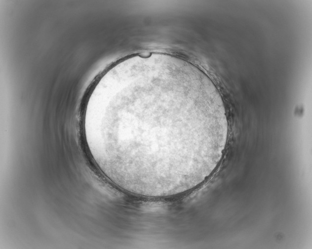 X0000093560342200711051042