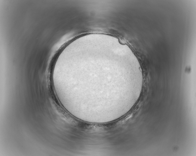 X0000093560343200711051042