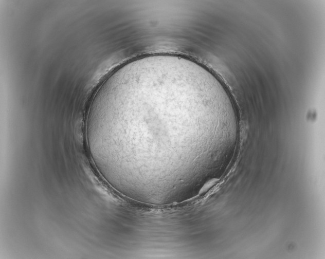 X0000093560345200711051042