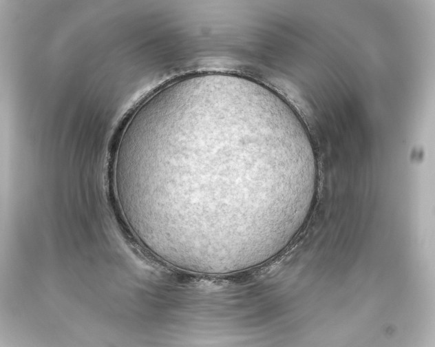 X0000093560346200711051042