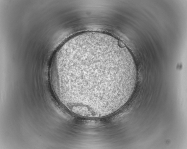 X0000093560347200711051042