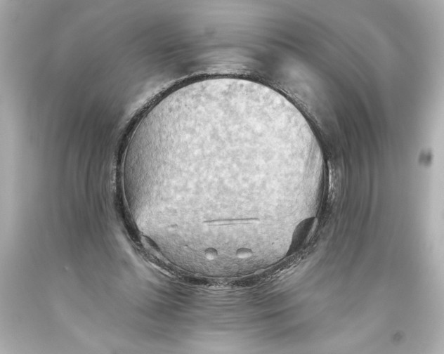 X0000093560348200711051042