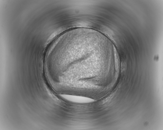 X0000093560349200711051042