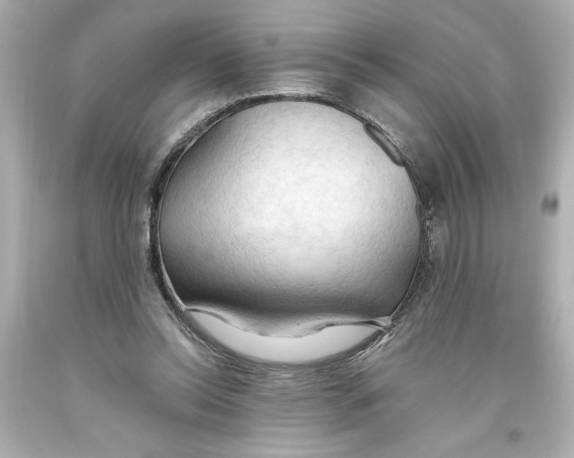 X0000093560350200711051042