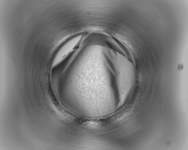 X0000093560352200711051042