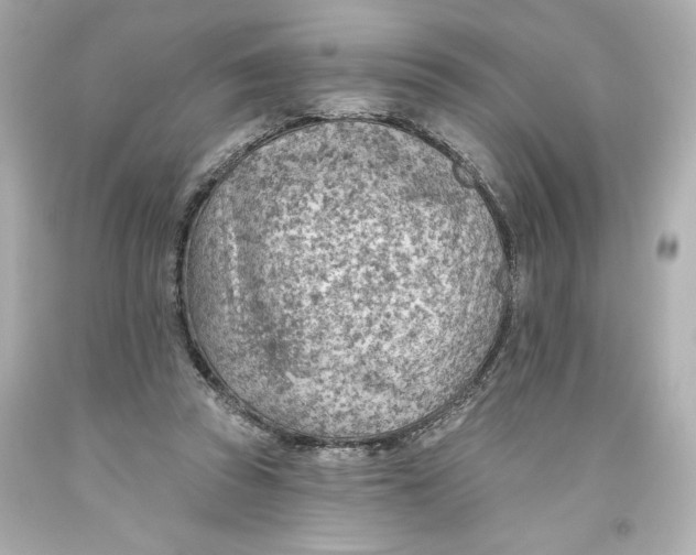 X0000093560353200711051042