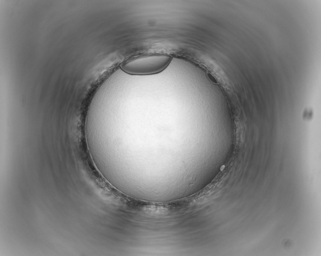 X0000093560354200711051042