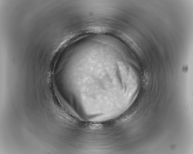 X0000093560355200711051042