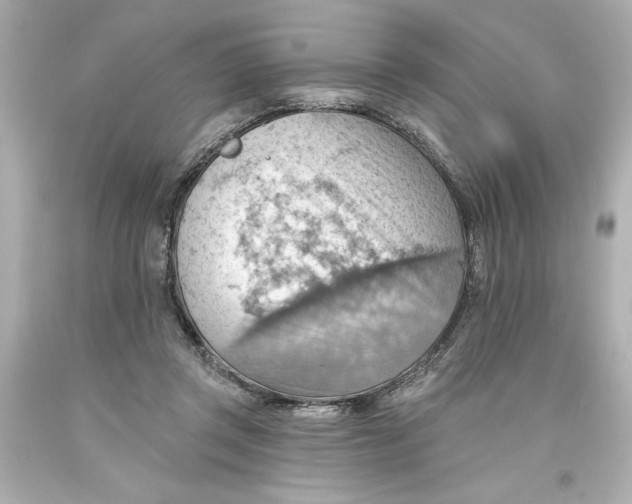 X0000093560357200711051042