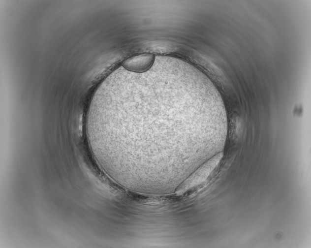 X0000093560358200711051042