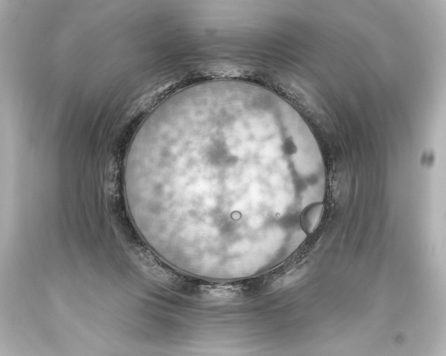 X0000093560359200711051042