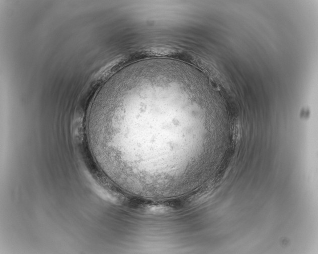 X0000093560360200711051042