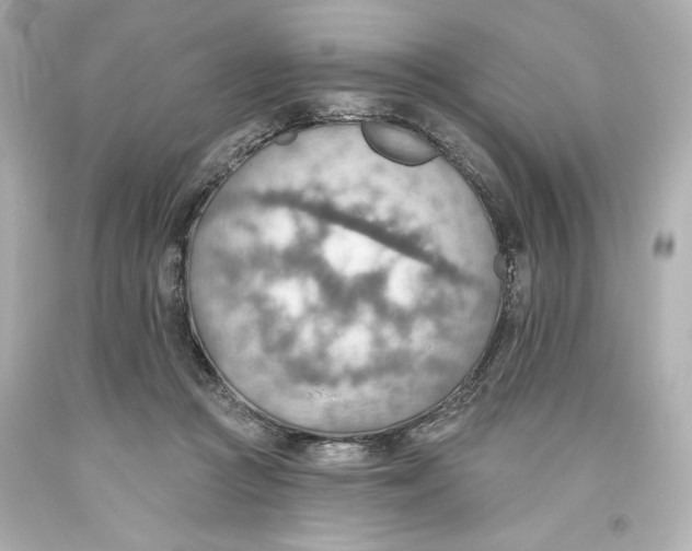 X0000093560361200711051042