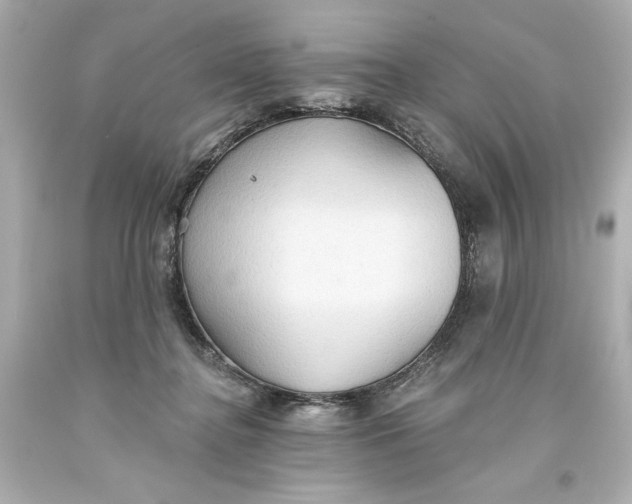 X0000093560364200711051042