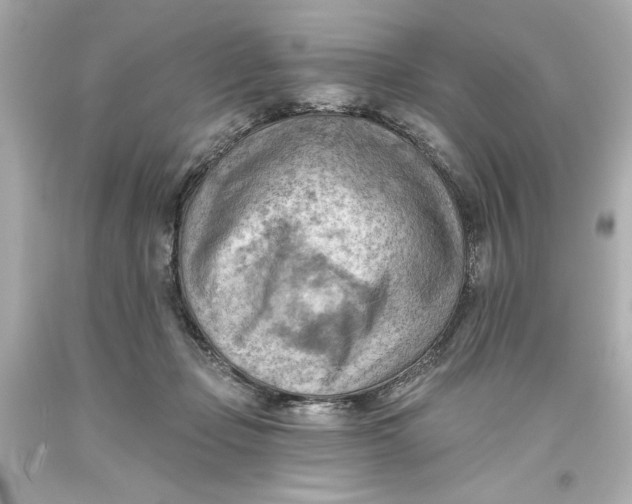 X0000093560365200711051042