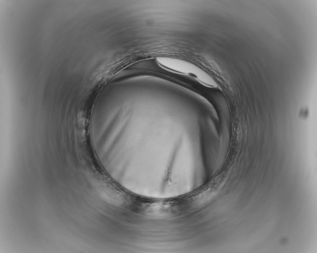 X0000093560366200711051042