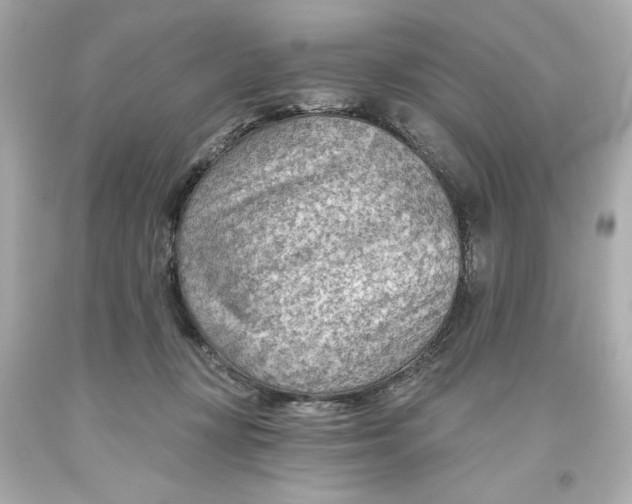 X0000093560367200711051042