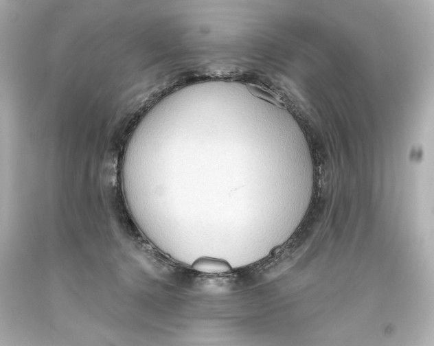 X0000093560368200711051042