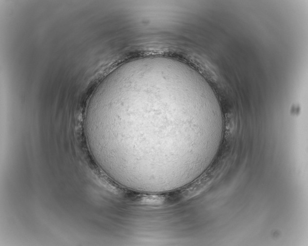 X0000093560369200711051042