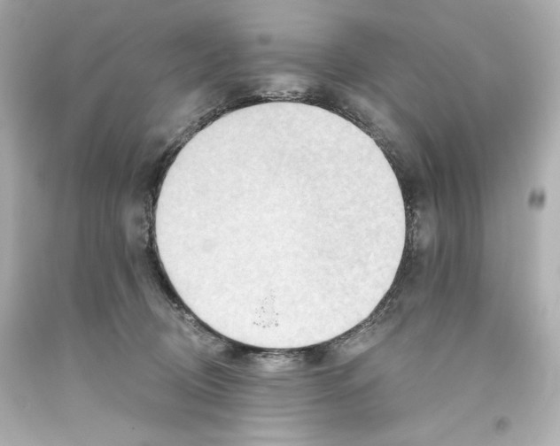 X0000093560370200711051042