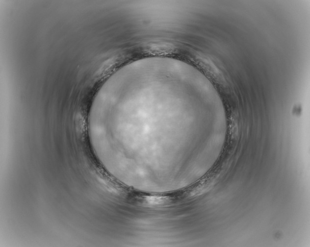 X0000093560371200711051042