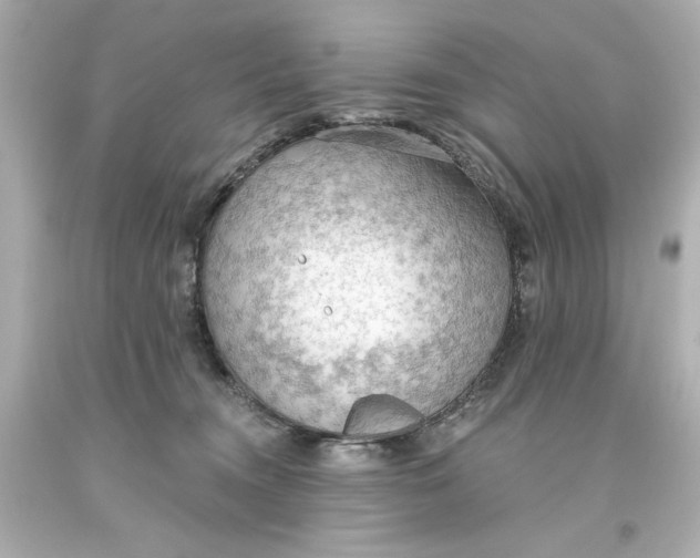 X0000093560372200711051042