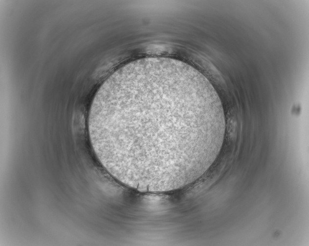 X0000093560375200711051042