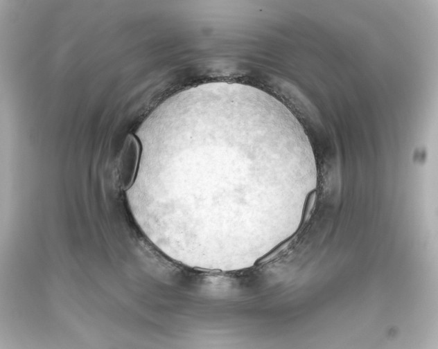 X0000093560376200711051042