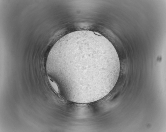 X0000093560377200711051042