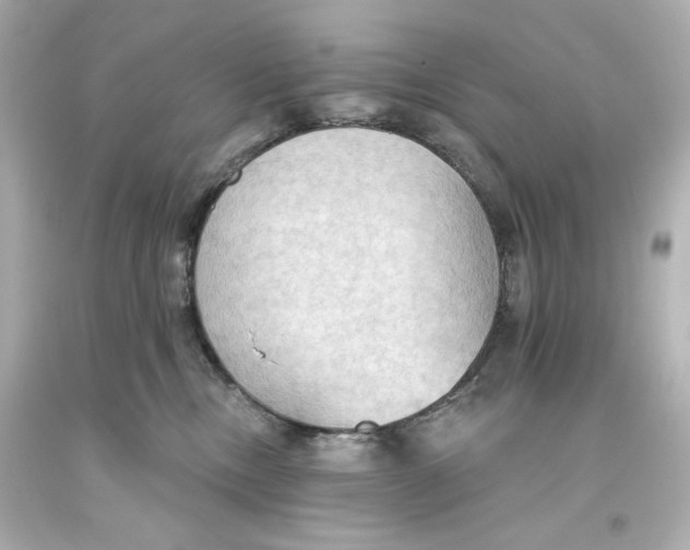 X0000093560378200711051042