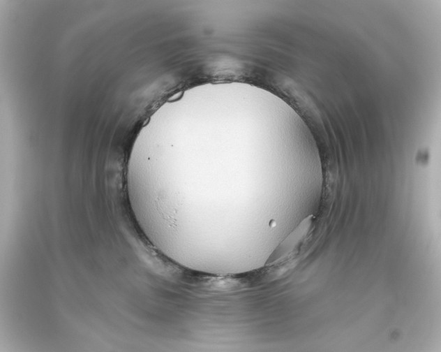 X0000093560379200711051042