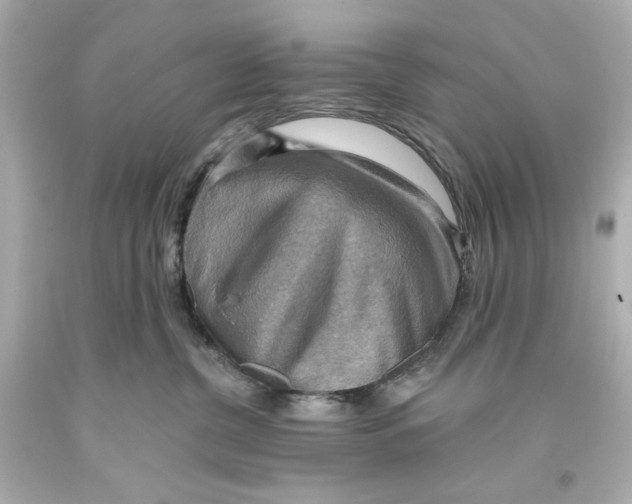 X0000093560380200711051042