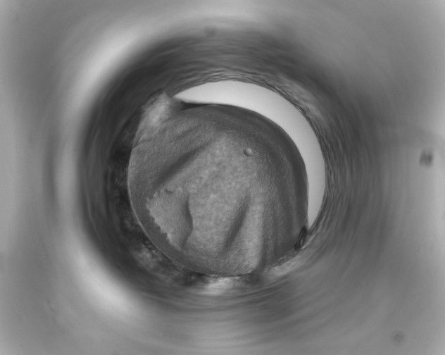 X0000093560382200711051042