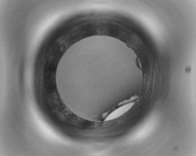 X0000093560383200711051042