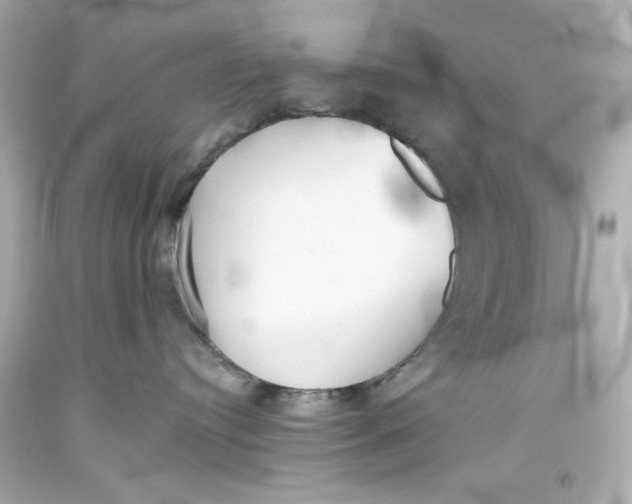 X0000093560384200711051042