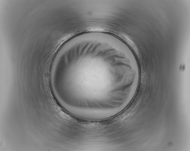 X0000093560385200711051041