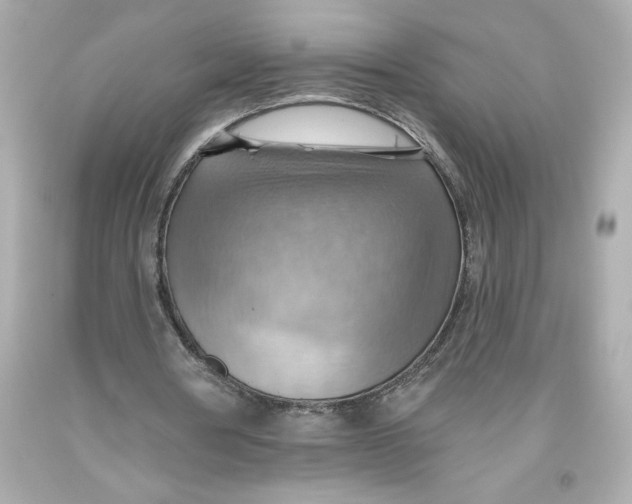 X0000093560386200711051041