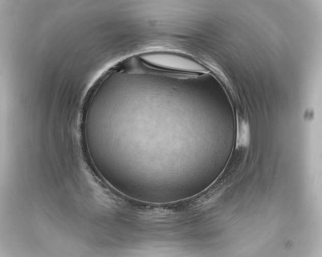 X0000093560387200711051041