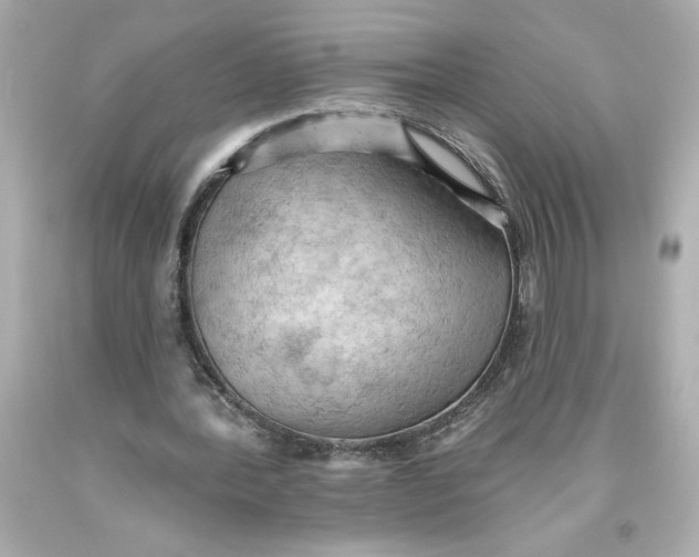 X0000093560388200711051041