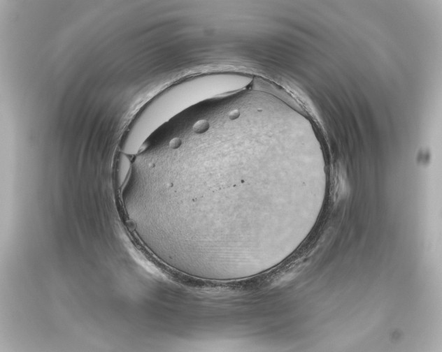 X0000093560389200711051041