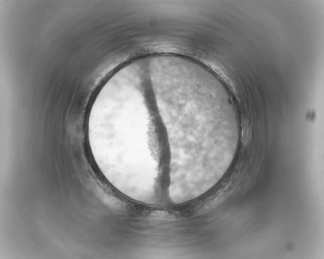 X0000093560390200711051041