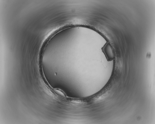 X0000093560391200711051041