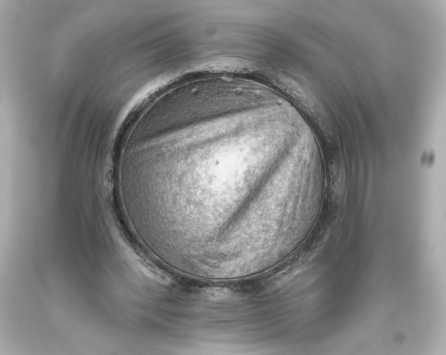 X0000093560392200711051041