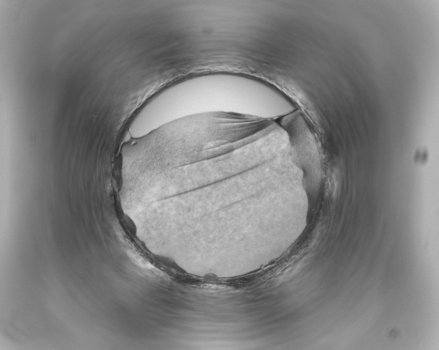 X0000093560393200711051041